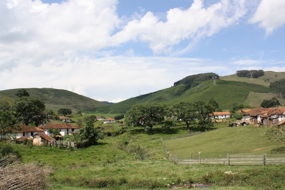 Nossa Familia Coffee Brazil Decaf