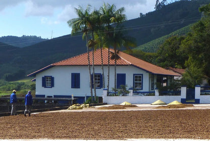 Nossa Familia Coffee Brazil Decaf